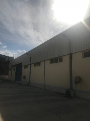 hangar-location-boumerdes-boudouaou-algerie