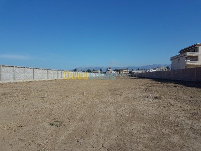 Vente Terrain Alger Ouled chebel