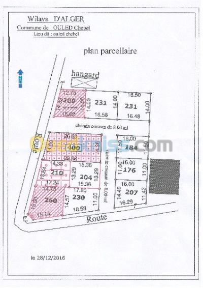 Vente Terrain Alger Birtouta