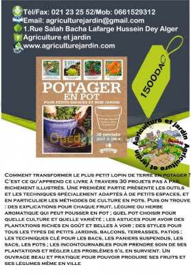 gardening-potager-en-pot-pour-petits-espaces-et-hussein-dey-algiers-algeria
