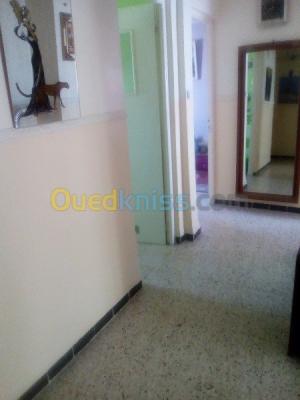 appartement-echange-f3-blida-meftah-algerie