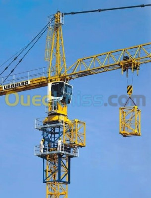 construction-travaux-montage-demontage-grue-a-tour-algerie-gue-de-constantine-alger