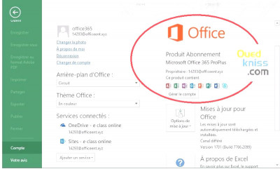 Office 365 Pro plus 