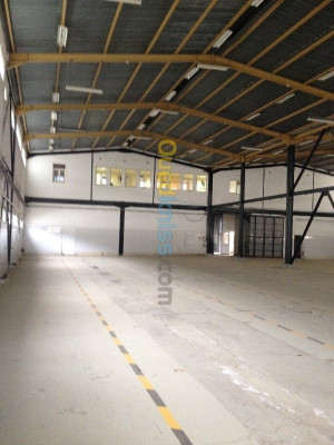Location Hangar Alger Rouiba