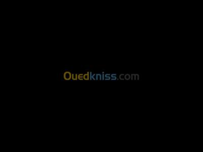 بومرداس-حمادي-الجزائر-مدارس-و-تكوين-orthophoniste-psychologue