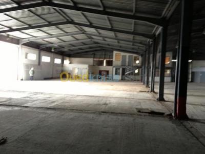 Rent Hangar Algiers Les eucalyptus