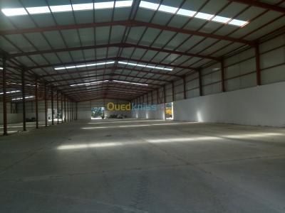 alger-baraki-algerie-hangar-location