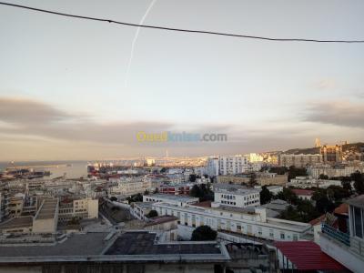 الجزائر-وسط-تنظيف-و-بستنة-cleaning-house