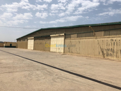 hangar-location-tipaza-algerie