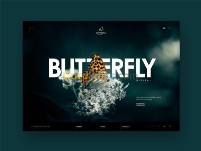 blida-ain-romana-algerie-bureautique-internet-freelancer-developer
