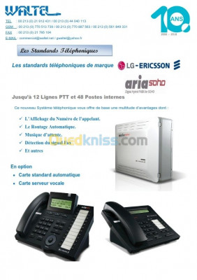 صيانة-الكمبيوتر-standards-telephoniques-pabx-ipbx-بن-عكنون-الجزائر