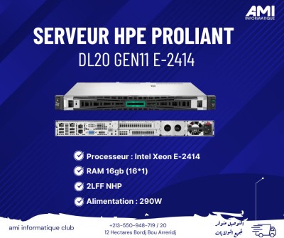 HPE ProLiant DL20 Gen11 E-2414