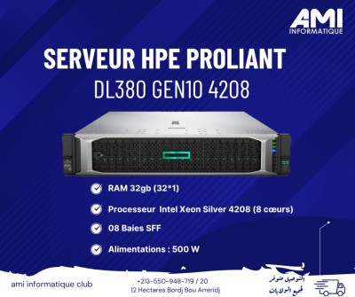  SERVEUR HPE PROLIANT DL380 G10 4208
