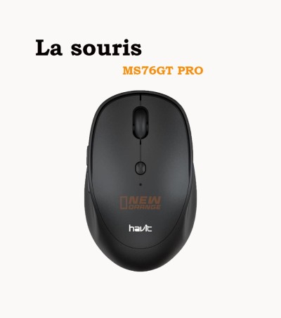 la souris havit ms76gt pro 