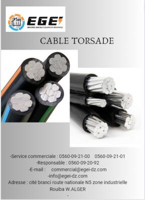 materiel-electrique-cable-torsade-rouiba-alger-algerie