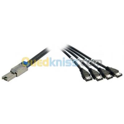 شبكة-و-اتصال-cable-mini-sasesata-sf-8088-to-4-sata-باب-الزوار-الجزائر