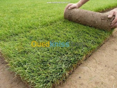 nettoyage-jardinage-gazon-espace-vert-ain-defla-algerie