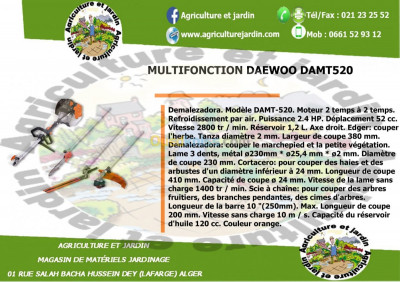 jardinage-multi-systeme-daewoo-damt-520-hussein-dey-alger-algerie