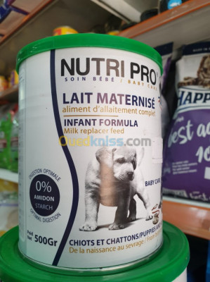 غذائي-lait-maternise-chat-et-chien-القبة-الجزائر