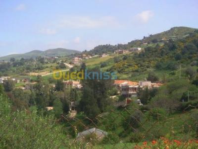 blida-djebara-algerie-terrain-vente