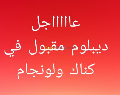 الجلفة-عين-وسارة-الجزائر-مدارس-و-تكوين-دورات-تكوينية-ديبلوم-دولة