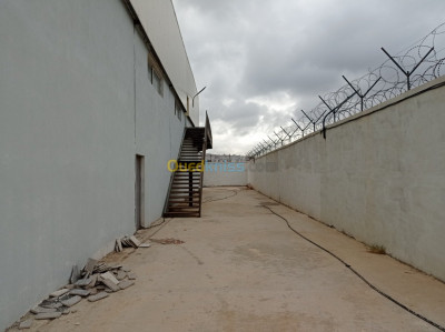 alger-zeralda-algerie-hangar-location