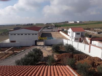 bordj-bou-arreridj-khelil-algerie-hangar-location