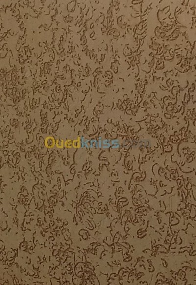 الجزائر-الرغاية-بناء-و-أشغال-طلاء-الواجهات-ڨريفي-مشرطه-ورده