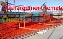 Ligne fabrication de purée de tomate