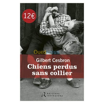 alger-draria-algerie-livres-magazines-chiens-perdus-sans-collier
