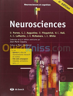 Neurosciences et Sylvius 4 : Le système nerveux humain