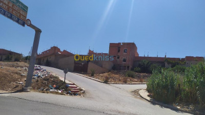 relizane-oued-rhiou-algerie-carcasse-vente