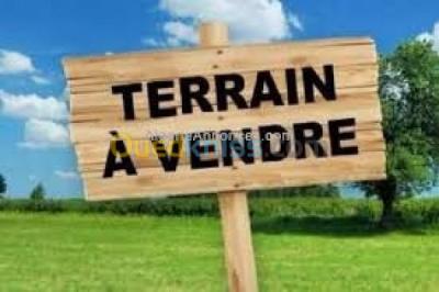 oran-algerie-terrain-vente