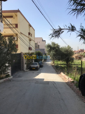 alger-cheraga-algerie-appartement-location-f4