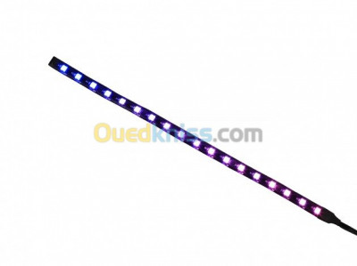 oran-algerie-autre-strip-led-raidmax-ld-600-60cm