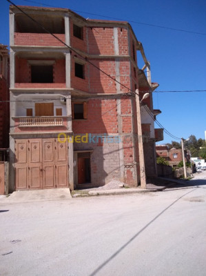 autre-vente-bien-immobilier-guelma-heliopolis-algerie