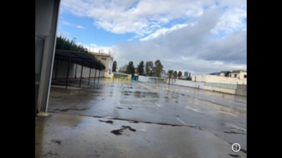 Rent Hangar Algiers Zeralda