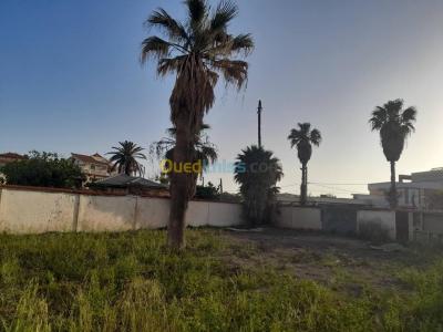 بيع أرض الجزائر برج البحري
