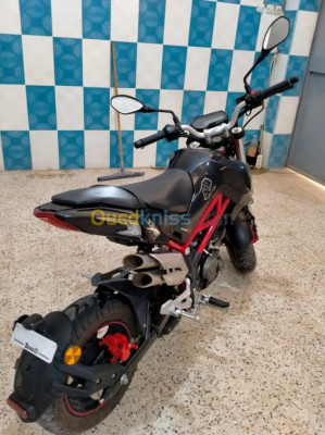 blida-boufarik-algerie-motos-scooters-benelli-tnt-135-2020