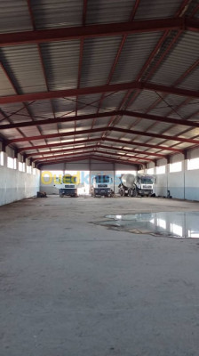 hangar-location-alger-les-eucalyptus-algerie