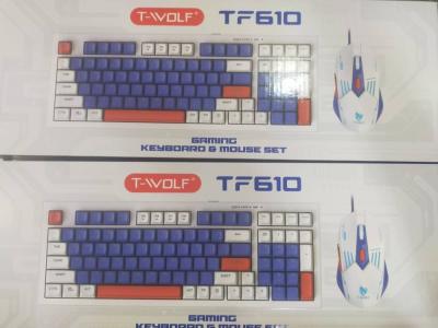 Kit Clavier Souris Gaming RGB T-WOLF TF610