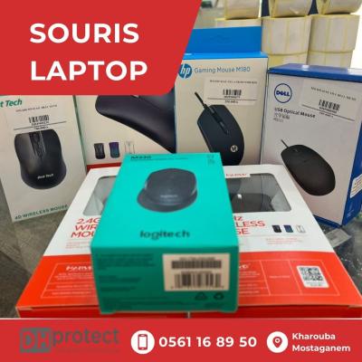 TOUT SOURIS LAPTOP 