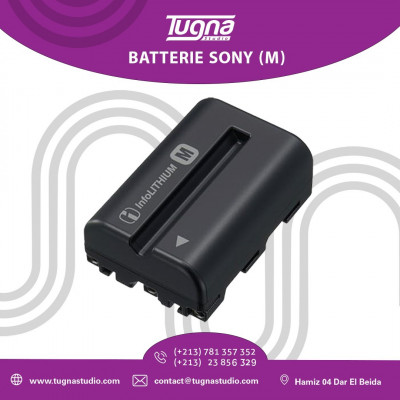 BATTERIE SONY (M)