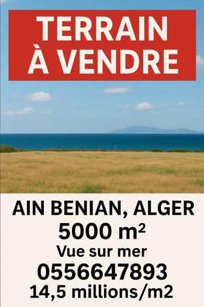 Vente Terrain Alger Ain benian