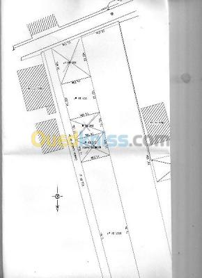 Sell Land Algiers Ouled chebel