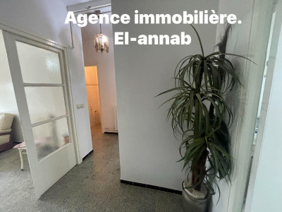 appartement-location-f3-annaba-algerie