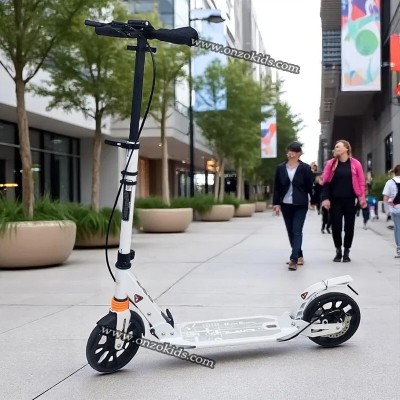 Trottinette Grande Roue, Scooter Adulte