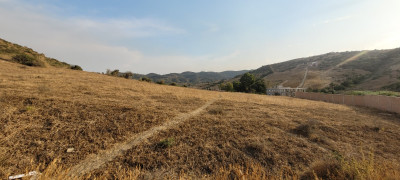 terrain-vente-boumerdes-zemmouri-algerie