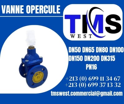 Vanne opercule pn 16 DN50 DN65 DN80 DN100 DN125 DN150 DN200 DN315