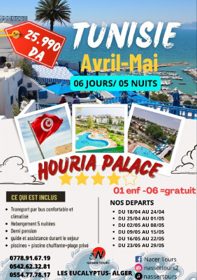 organized-tour-voyage-organise-tunisie-mai-2024-les-eucalyptus-alger-algeria
